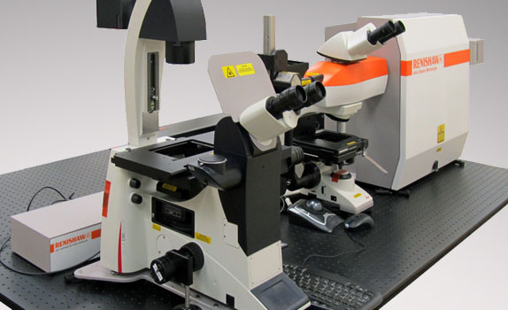 定制拉曼解决方案